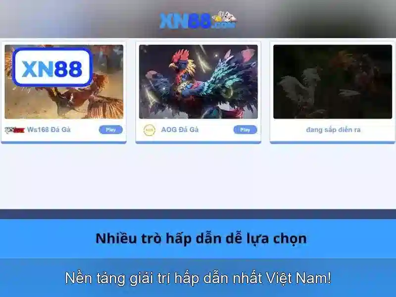 https://tiendam45.com/images/text/xn88/xn88-text2603312058.webp Đánh giá về trải nghiệm người dùng và sự an toàn