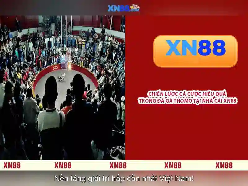 XN88: Nền tảng trò chơi trực tuyến phổ biến