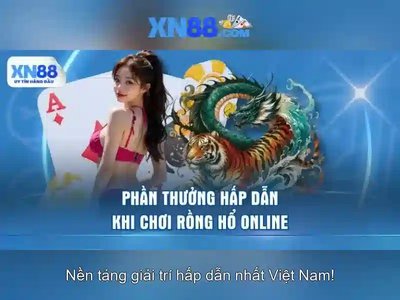 Nền tảng thanh toán và hỗ trợ người dùng