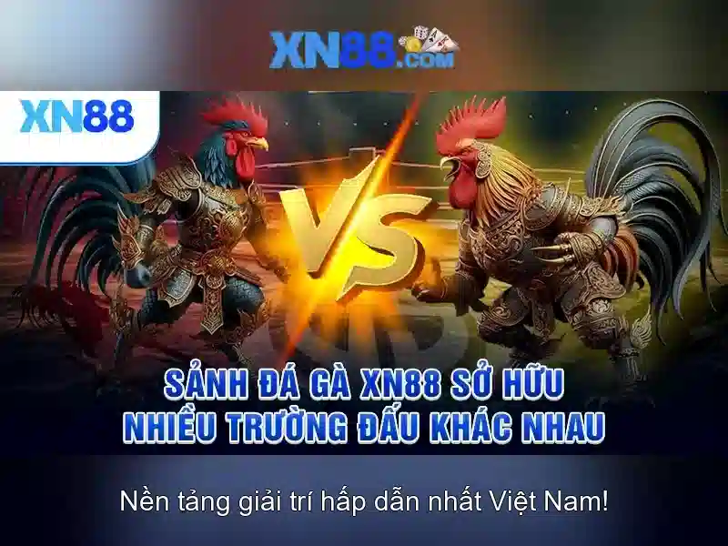 Sản phẩm và dịch vụ cốt lõi: ứng dụng của xn88..com
