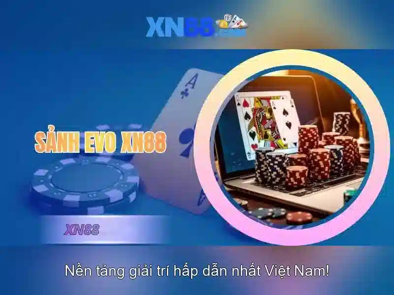 Các sản phẩm và dịch vụ của xn88