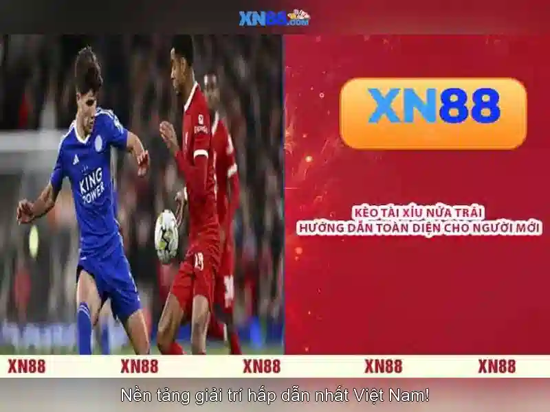 https://tiendam45.com/images/text/xn88/xn88-text2603301244.webp Nguồn gốc và bản chất