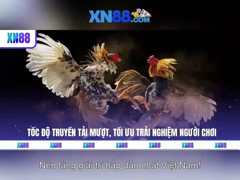 https://tiendam45.com/images/text/xn88/xn88-text2603313944.webp Giới thiệu xn88