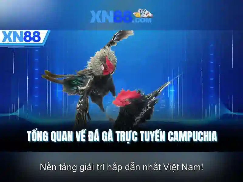 Các dịch vụ của xn88