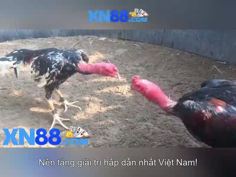 Lịch sử và phát triển của xn88\n