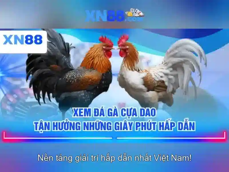 https://tiendam45.com/images/text/xn88/xn88-text2603301809.webp Giới thiệu về xn88