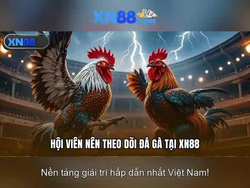 https://tiendam45.com/images/text/xn88/xn88-text2603312009.webp Giới thiệu xn88