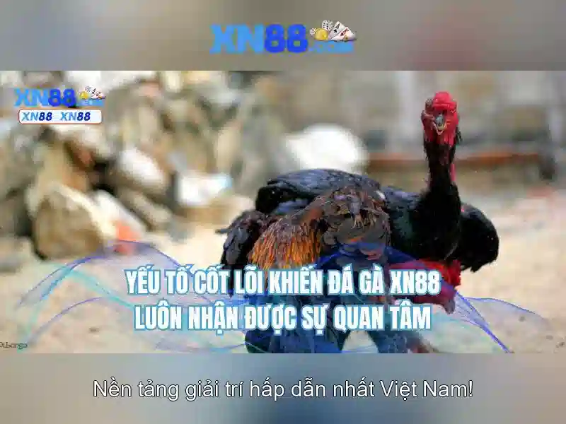 Lưu ý an toàn, trải nghiệm người dùng