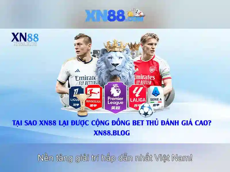 Giao diện nhà cái hoàn hảo