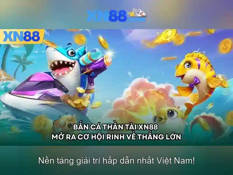 Kết luận và triển vọng