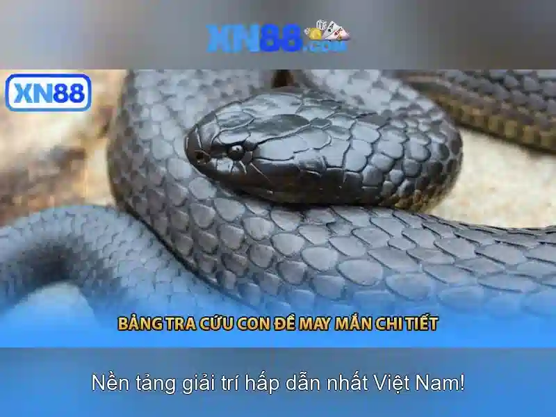 https://tiendam45.com/images/text/xn88/xn88-text2603121416.webp Nền tảng và trải nghiệm người dùng