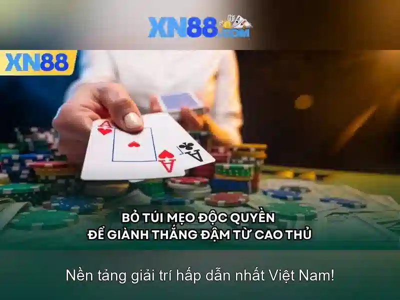Giao diện người dùng và trải nghiệm di động