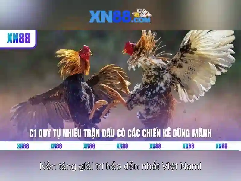 Giao diện nhà cái hoàn hảo