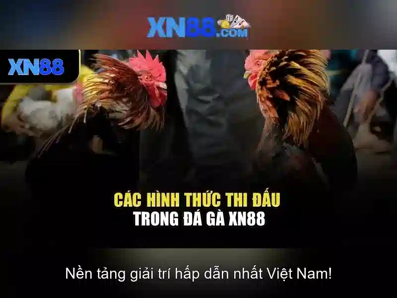 Giới thiệu xn88: Nền tảng giải trí và thanh toán trực tuyến Giao diện nhà cái hoàn hảo