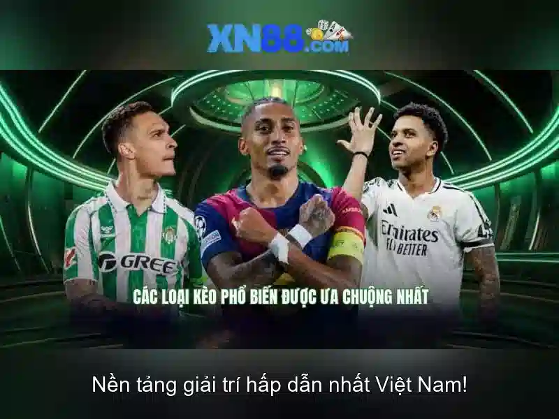  Trải nghiệm người dùng và phản hồi của cộng đồng